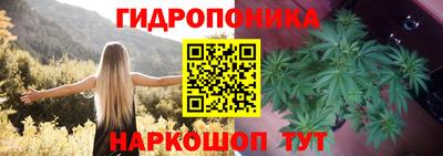 каннабис Усть-Джегута