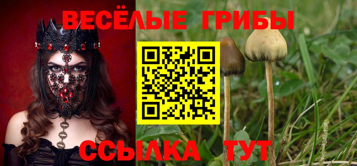 Галлюциногенные грибы мицелий  Вход с VPN  Галлюциногенные грибы Magic Shrooms  Анжеро-Судженск 